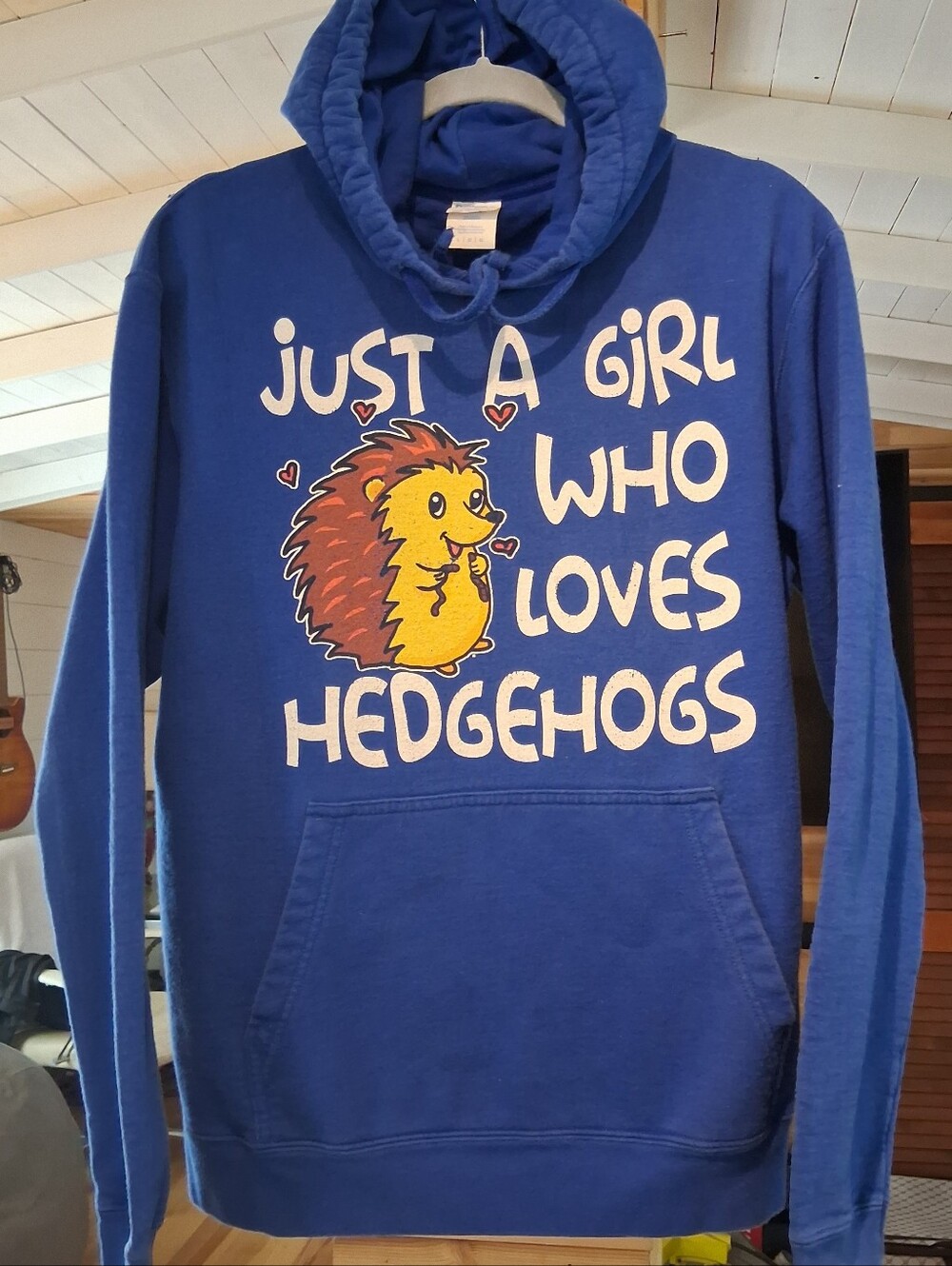 "Just A Girl Who Loves Hedgehogs"  Graphic Hoodie in Blue.